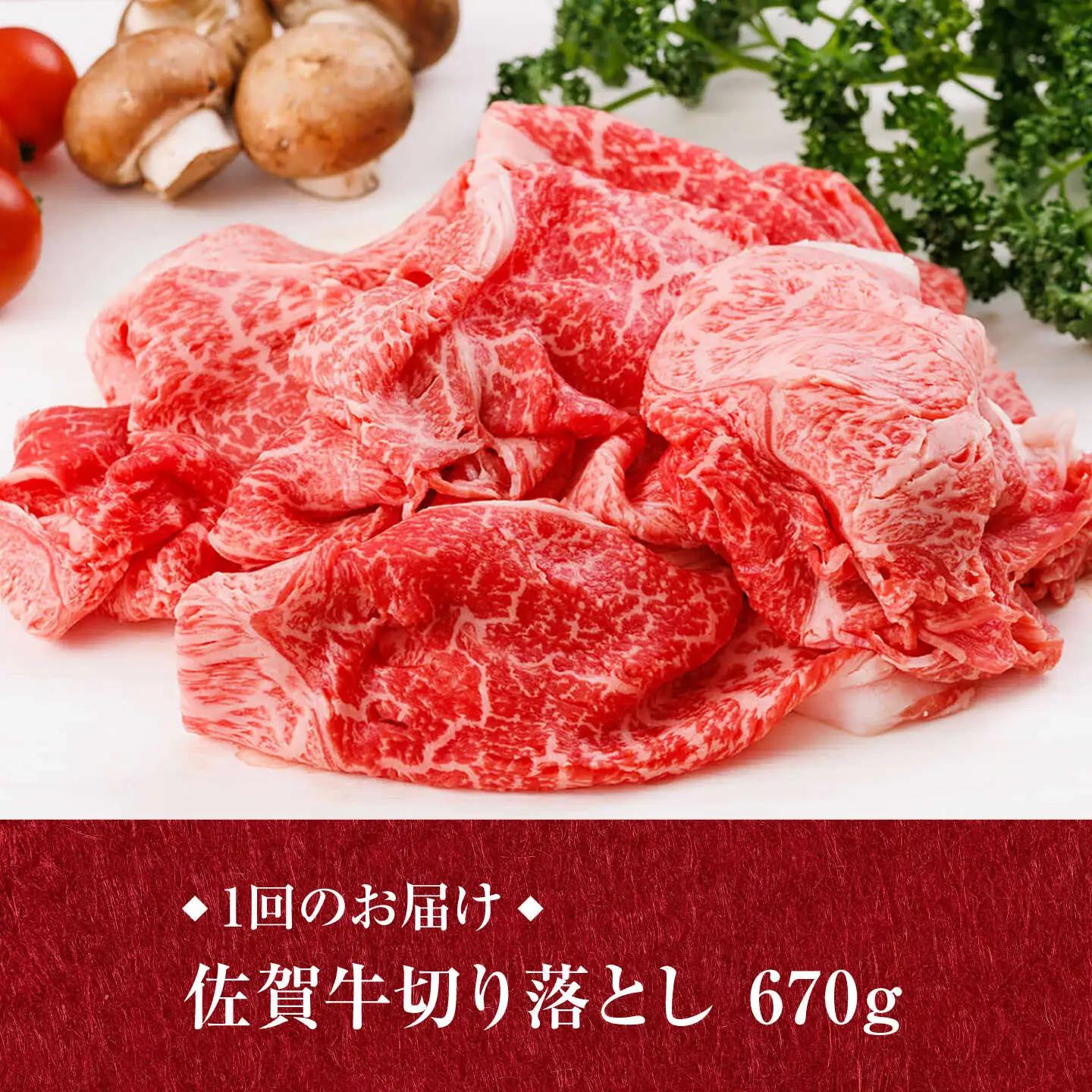 【6回定期便・偶数月発送】 佐賀牛 切り落とし 670g 牛肉 [UCC027]