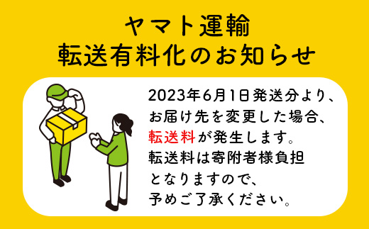 GELATO LicoLico自家製ジェラート1L（とうもろこし）【600050】_イメージ4