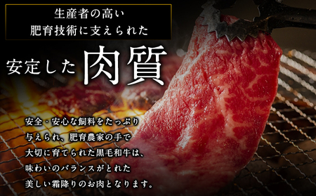 【5ヶ月定期便】牛肉 くまもと黒毛和牛 焼肉用 500g 定期便 5回 株式会社KAM Brewing《お申込み月の翌月から出荷開始》