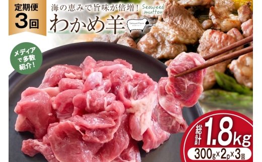 定期便 3回 ラム肉 南三陸 わかめ羊 300g 2p 計 600g [さとうみ羊牧 宮城県 南三陸町 m304auk330002] ラム 肉 精肉 ジンギスカン 羊肉 国産 わかめ 焼肉 キャンプ バーベキュー BBQ ふるさと納税