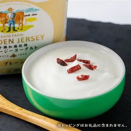 【毎月定期便】ゴールデンジャージーヨーグルト 450g×4個 北海道 十勝 加藤牧場全3回_卵・乳製品 ヨーグルト    定期便 定期便  _【配送不可地域：離島】【4013284】