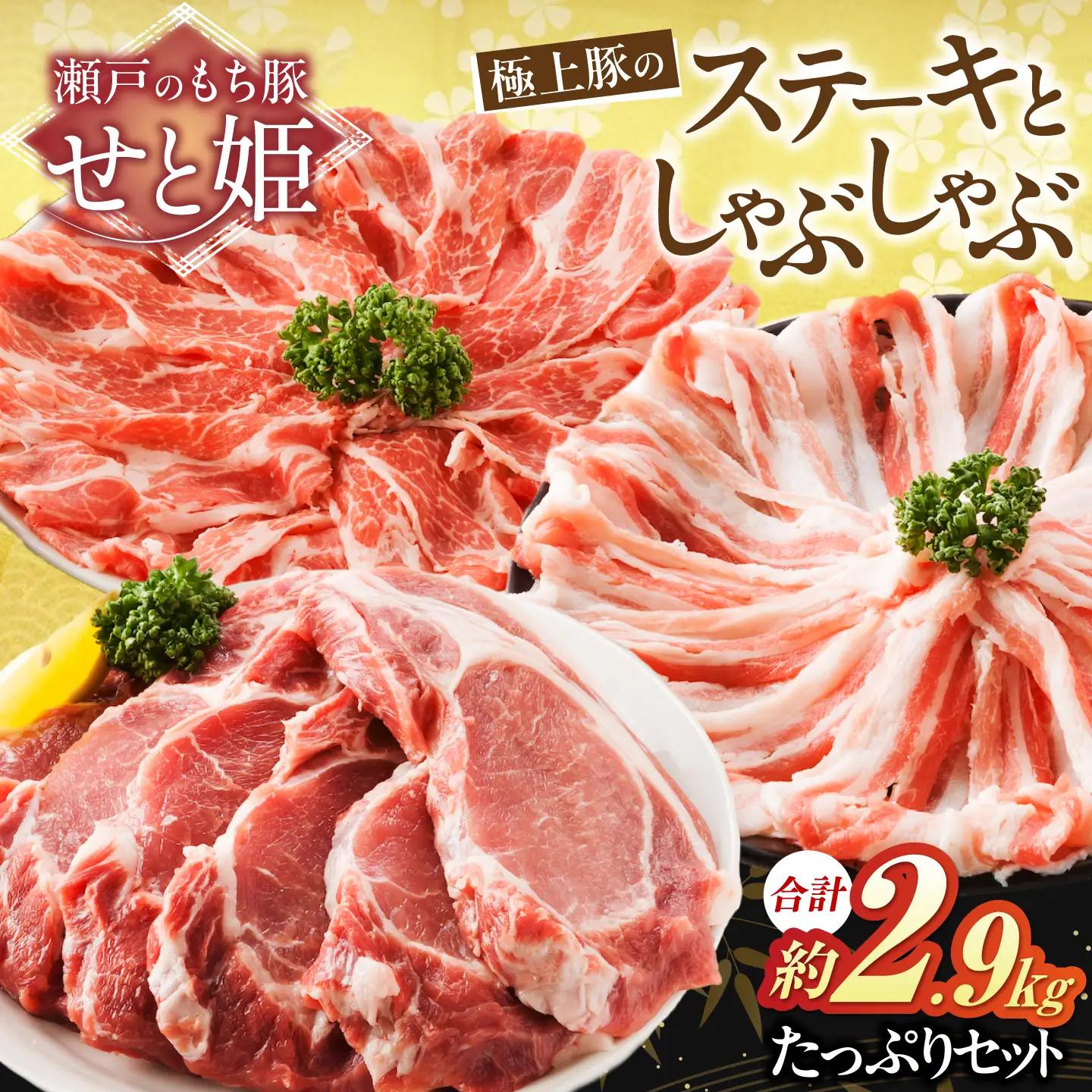 豚肉たっぷりセット約2.9kg [BAER024] 豚肉