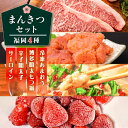 【ふるさと納税】福岡満喫セット 《築上町》【株式会社MEAT PLUS】45000円 [ABBP118]