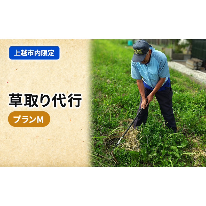 草取り 代行プラン Ｍ（上越市内限定）草刈り 手作業 雑草 除草 上越市 ぱるえむ