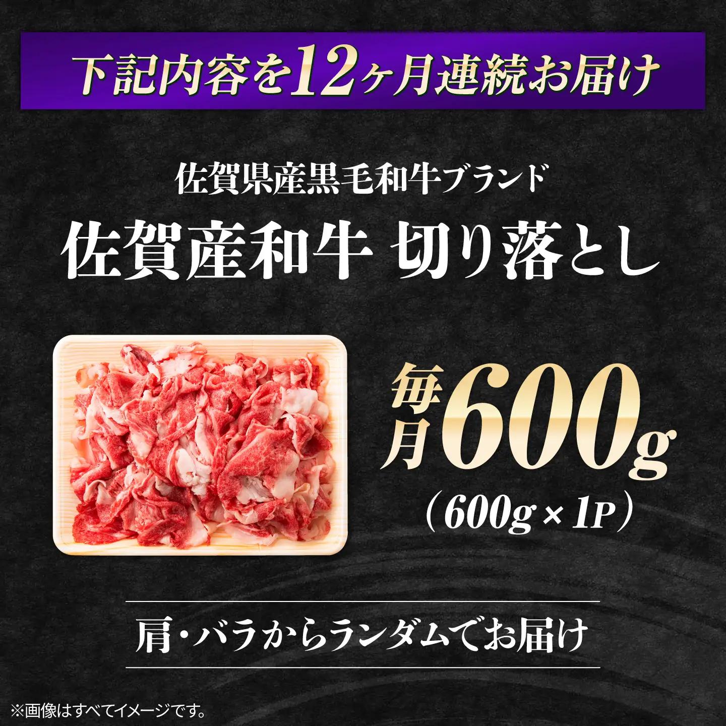 定期便12回 訳あり 佐賀産和牛 切り落とし 600g きりおとし 定期便[FDB029]
