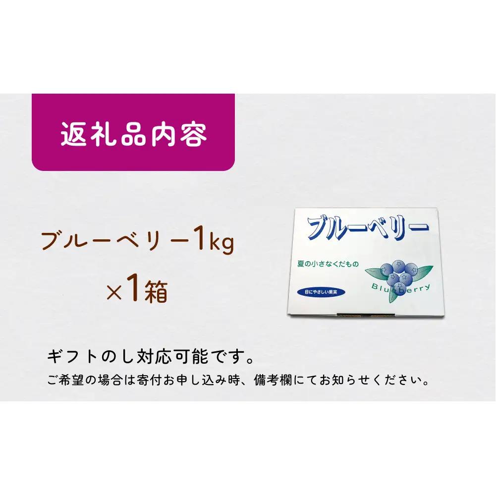 ブルーベリー ( 1kg ) 箱入り 生 無農薬 化学肥料不使用 摘みたて 冷蔵 大粒 濃厚 フルーツ 果物
