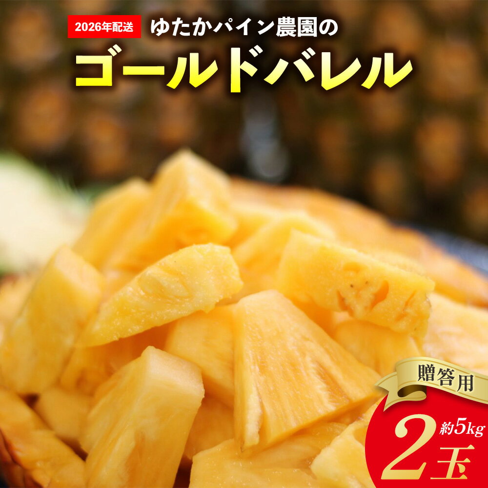 【ふるさと納税】ゆたかパイン農園のゴールドバレル　2玉（贈答用）約5kg 2026年発送 沖縄県産 東村 パイナップル ジューシー 希少 高級フルーツ 南国フルーツ 国産フルーツ 農家直送 パイン 贈答用 贈り物 おすすめ お土産 人気 やんばる 大自然 南国気分 沖縄本島北部