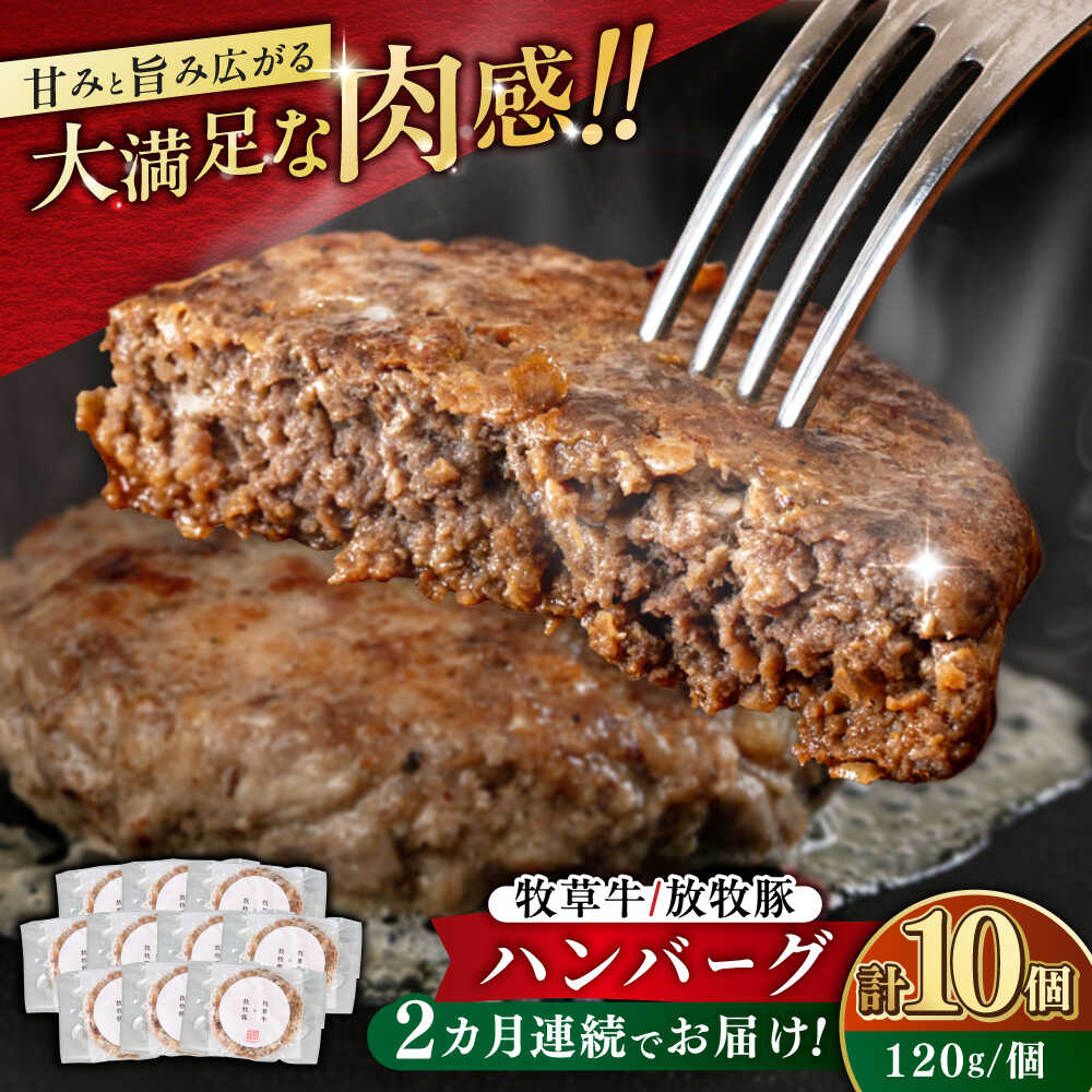 【ふるさと納税】【全2回定期便】【牧草牛×放牧豚】ハンバーグ 10個《厚真町》【GOODGOOD株式会社】 ハンバーグ 牛肉 豚肉 小分け 冷凍配送 北海道[AXBP038]