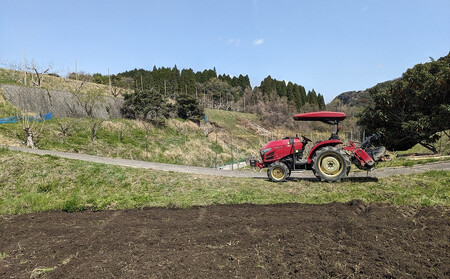 なつほのか 10kg （精米）【先行予約／数量限定】