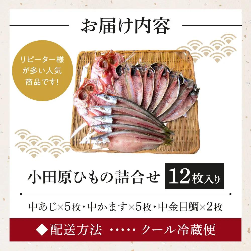 小田原ひもの詰合せ s45【ひもの】