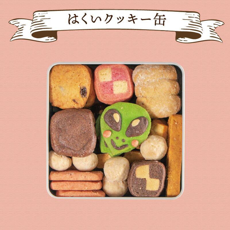 【ふるさと納税】 クッキー 詰め合わせ 10種 48枚 焼菓子 セット クッキー缶 お菓子 おかし 菓子 おやつ スイーツ デザート いちご チョコ レーズン バナナ チーズ ゆるキャラ スノーボールクッキー 石川 能登 羽咋 災害 支援 復興支援 災害支援