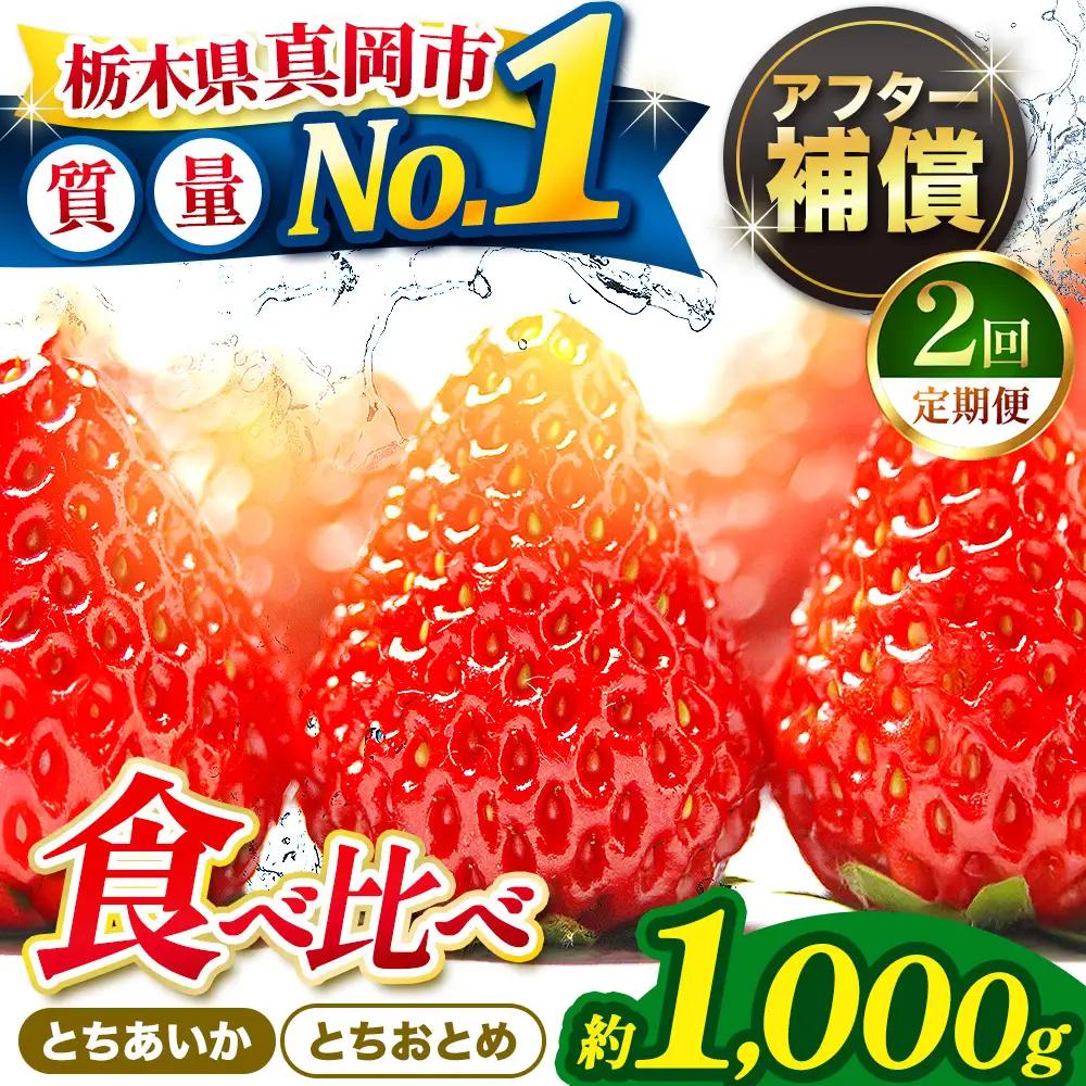 【2027年 先行予約受付中】【定期便2回】いちご とちおとめ・とちあいか 食べ比べ 1000g