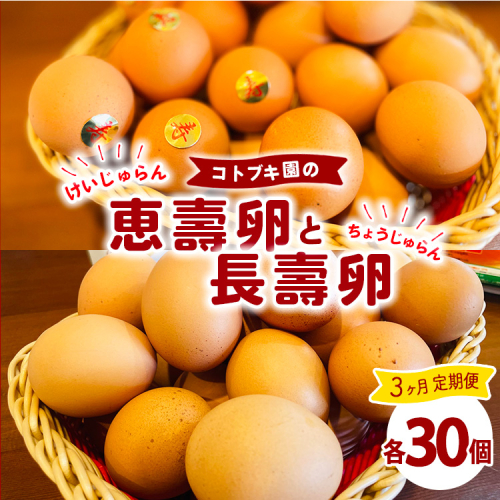 【定期便3ヶ月】当社自慢の卵 長壽卵 30個入り＆恵壽卵 30個入り | 卵 たまご タマゴ ちょうじゅらん けいじゅらん 鶏卵 玉子 国産 定期便 3ヶ月 3か月 3カ月 先行予約 先行受付　※離島への配送不可　※2025年2月上旬～2025年10月下旬頃に順次発送予定