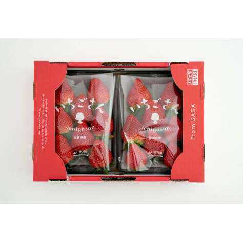 【眺めてうっとり、かじって甘い！】JAの「いちごさん」240g✕4パック【JA伊万里_園芸】いちご イチゴ 苺 いちごさん 果物 4パック 小分け 佐賀 佐賀いちご 甘い 酸味 10000円 1万円 