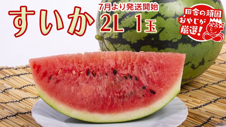 すいか 2L×1個【2025年7月より発送開始】田舎の頑固おやじが厳選！ すいか スイカ ギフト 大玉 甘い フルーツ 美味しい [BI295-NT]