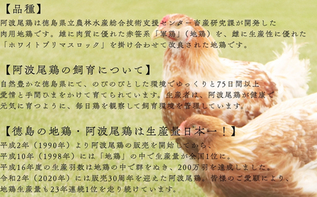 AWAODORILAB３種１５食（ガパオ５食　バターチキンカレー５食　 ごちそうカレー ５食） 常温 レトルト