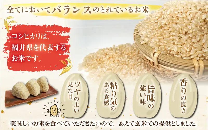 令和8年産 梅花藻が群生する清流で育てたコシヒカリ（玄米 10kg）3か月定期便 計30kg ※2026年9月下旬以降順次発送予定[C-040008]