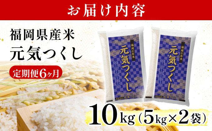 【6ヶ月定期便】福岡県産米 元気つくし 10kg 令和7年産 ※北海道・沖縄・離島は配送不可【精米 7年産 国産 福岡県産 お米 ブランド米 10kg げんきつくし】CY012sub6