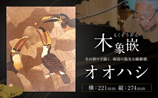 千葉県伝統工芸品 木象嵌 オオハシ 1枚 221mm×274mm 楽堂工房 《30日以内に出荷予定(土日祝除く)》千葉県 我孫子市 楽堂象嵌 工芸品 工芸 自然木 天然の木 アート 作品 木材 インテリア