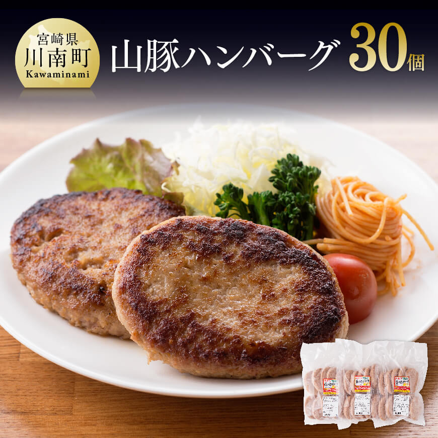山豚豚肉ハンバーグ30個！　豚肉 加工品[G7504]