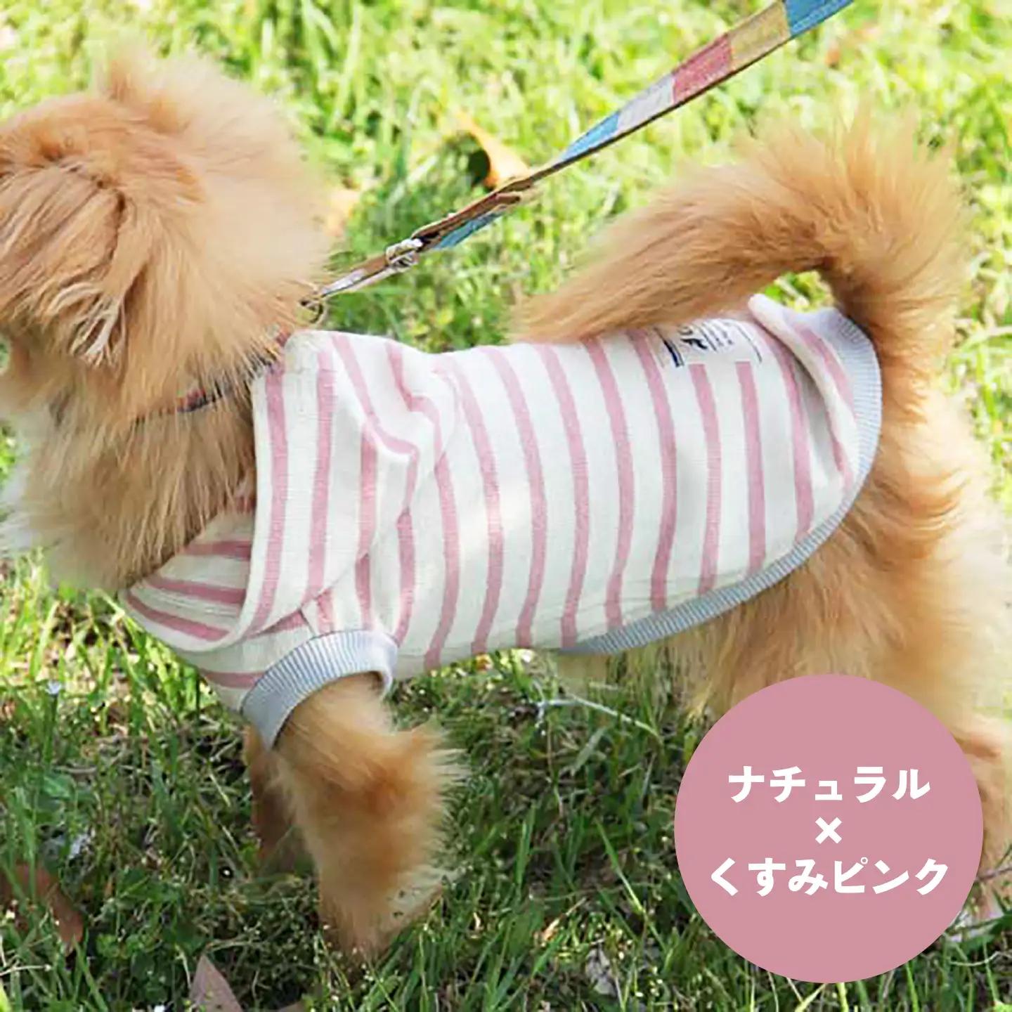 ボーダーパーカー ナチュラル×くすみピンク（SS/S/MM/M） / ペット用品 ドックウェア 犬服 犬用 / 佐賀県 / Canis Lupus [41AAAN015]