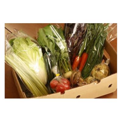 ふるさと納税 さくら市 【産地直送】採りたて野菜と昔ながらの手づくり加工品セット≪旬の野菜 詰め合わせ 栃木県産≫