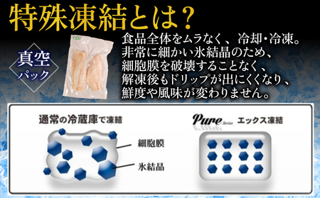 真鯛 フィーレ 真鯛 1kg