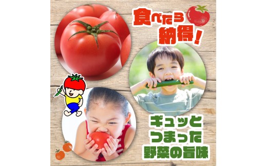 【数量限定】 おまかせ野菜セット 1箱 トマトファクトリー 野菜 トマト きゅうり 白菜 オクラ じゃがいも 玉ねぎ なす 詰め合わせ セット 新鮮 採れたて 食材 旬  栽培 産地直送 農家直送 農家応援 滋賀県 日野町 ふるさと納税 送料無料