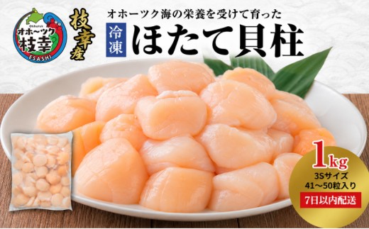 
                  【枝幸ほたて】冷凍ほたて貝柱1kg 3Sサイズ 枝幸水産加工業協同組合【 冷凍 貝柱 刺身 大 魚介 海 帆立 北海道 オホーツク 枝幸 】
                