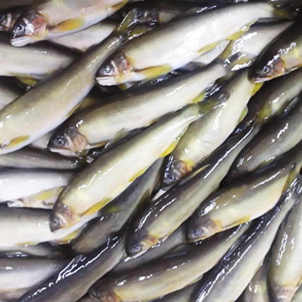 鮎の甘露煮 320g 桐箱入 無憂舘（府中市） ／ あゆ 魚 惣菜 ご飯のお供 鮎料理 真空パック 老舗 伝統製法 秘伝のタレ 甘辛 旨味 しっとり お歳暮 お中元 贈答品 広島県 No.1166