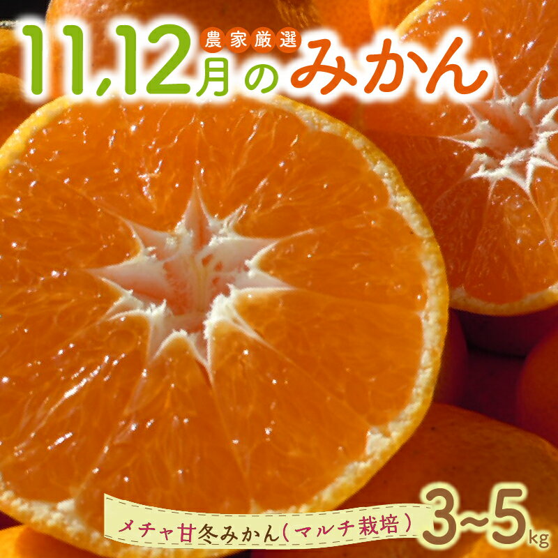 【ふるさと納税】11・12月の御浜柑橘 メチャ甘冬みかん 3～5kg【御浜町でとれたメチャ甘冬みかんをお届け！】