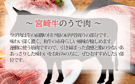 宮崎牛焼肉（うで肉）約750g　特番569