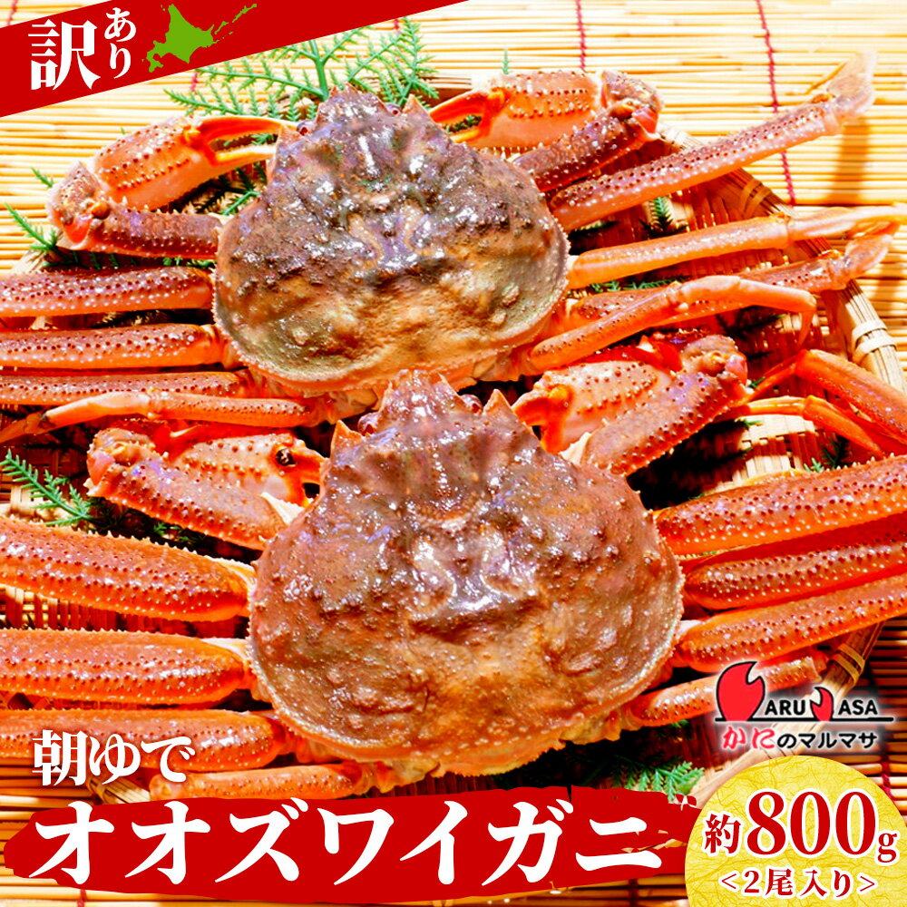 【ふるさと納税】送料無料 北海道産【 朝ゆで 】訳ありオオズワイガニ 800g詰 道産品 オオズワイ ズワイガニ ずわい蟹 カニ 蟹 規格外品 不揃い 訳アリ 訳有り北海道 ふるさと納税 北海道 千歳市 【北海道千歳市】