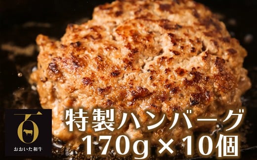 おおいた和牛特製ハンバーグ170g×10個（計1700g）【匠牧場】 ハンバーグ 国産 人気 牛肉 冷凍 和牛 おおいた和牛 豚肉 牛 ＜102-031_5＞