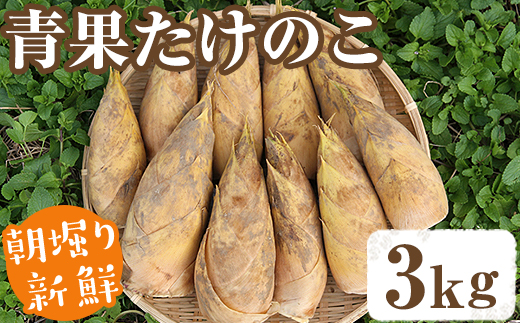 ＜先行予約受付中！2027年2月下旬以降順次発送予定＞ 【土日祝着】朝堀り青果たけのこ(約3kg) 国産 新鮮 タケノコ 青果 竹の子 筍 野菜 春 旬 期間限定 数量限定 【上野食品】akn008-19-B