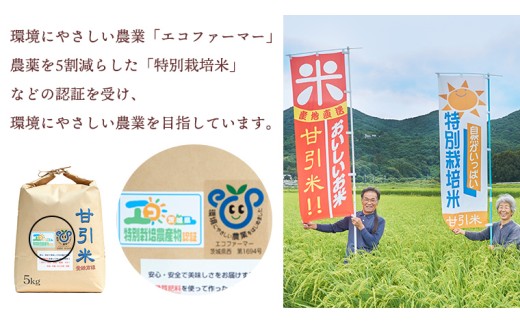 令和7年産  桜川市の 厳選 甘引米 13kg 桜川市産 特別栽培米 コシヒカリ こしひかり 米 こめ コメ 有機肥料 茨城県 いばらき [BA001sa]