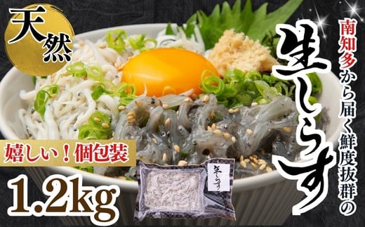 生しらす(お刺身) 約1.2kg(100ｇ×12個) 岬だより