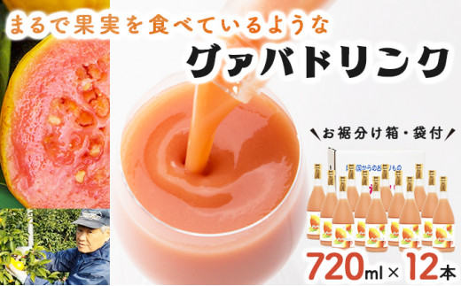 
KU113 まるで果実を食べているような！グァバドリンク12本セット各720ml)【宮崎果汁】
