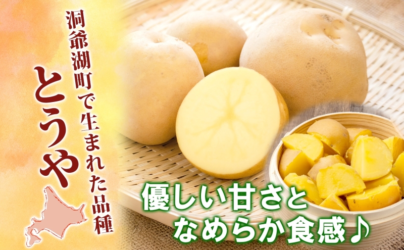 とうや 10kg 2025年9月上旬～12月中旬までお届け ジャガイモ 芋 甘い ホクホク なめらか ポテト カレー 調理 料理 煮込み料理 旬 野菜 お取り寄せ 北海道 洞爺湖町