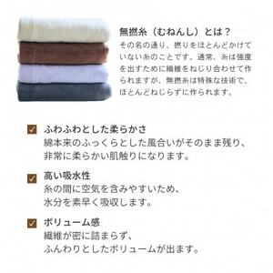 【無撚糸 タオルケット シングルサイズ コーヒー】140×190cm 大阪府忠岡町産【1709343】