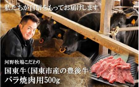 2211R_国東牛（国東市産の豊後牛）バラ焼肉用（1口カット）500g