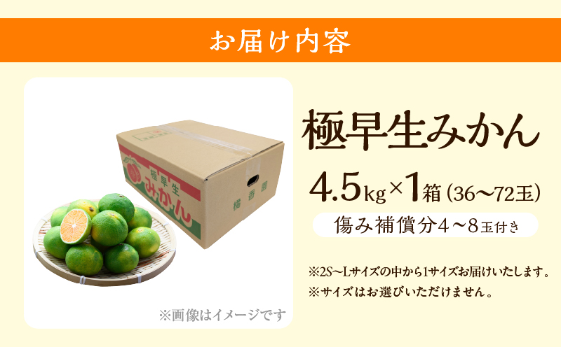 極早生みかん 計4.5kg 傷み補償分付き 期間限定 果物 くだもの フルーツ 蜜柑 ミカン 柑橘 オレンジ おやつ デザート みかんジュース 飲み物 小さい ビタミン補給 おすすめ おすそ分け 国産