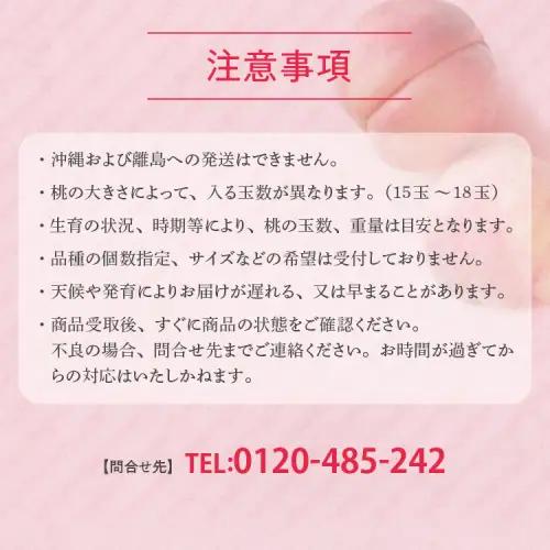 透過式光センサーまどか桃 特秀3kg相当 9玉～11玉＜ ふくしま未来農業協同組合 ＞ | ふくしま 桃 福島 もも 国見 モモ ※2026年8月上旬～8月中旬頃に順次発送予定 ※沖縄・離島への配送不
