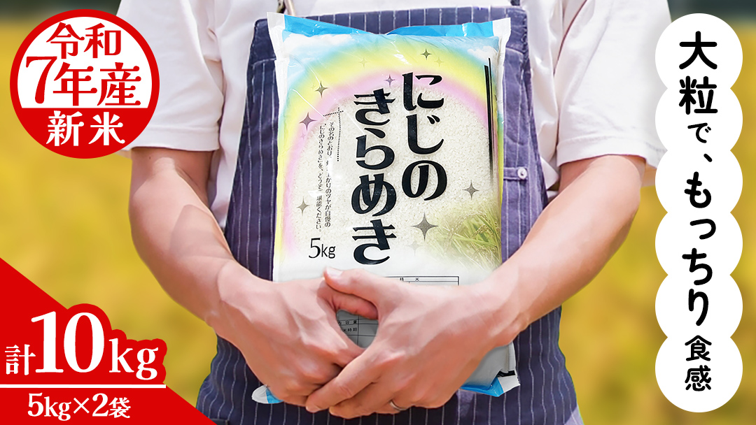 令和7年産 にじのきらめき 10kg ( 5kg × 2袋 ) お米 ごはん 精米 コメ 白米 国産 茨城県 桜川市 銘柄米 [AX016sa]