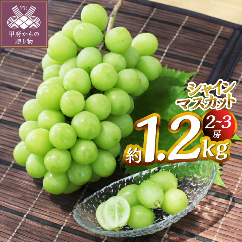 【ふるさと納税】 シャインマスカット 約1.2kg（2～3房） ぶどう フルーツ 果物 旬 甲府市産 産地直送 こだわり 冷蔵 数量限定 期間限定 2025年8月中旬～10月中旬順次発送 k346-008