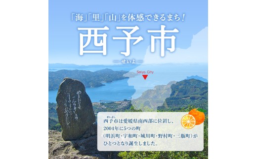 ＜伊予柑（訳あり）合計約3kg＞『2027年1月上旬～1月下旬迄に順次出荷予定』訳アリ わけあり いよかん イヨカン 濃厚 蜜柑 ミカン 果汁 果物 くだもの フルーツ 柑橘 あまい 甘い 季節 旬の
