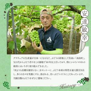 ≪2026年先行予約≫【安達農園】山形県産 大粒ぶどう シャインマスカット 約1.5kg（2～3房） 秀品 2026年9月中旬から順次発送 F2Y-6147