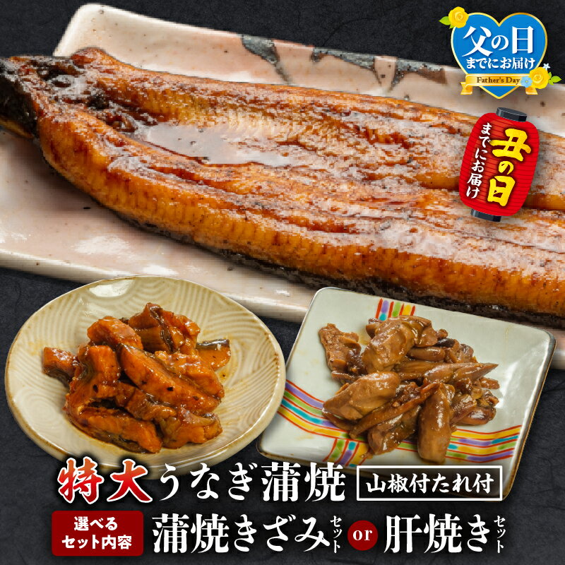【ふるさと納税】【選べるセット内容・発送月】国産うなぎ蒲焼(特大サイズ)ときざみ・肝焼きセット うなぎ 鰻の蒲焼 蒲焼 うなぎ蒲焼き きざみ 肝焼き うなぎきざみ セット 詰め合わせ 選べる 惣菜 お惣菜 おかず 贈答 贈り物 ギフト お歳暮 お中元 プレゼント 人気 宮崎市