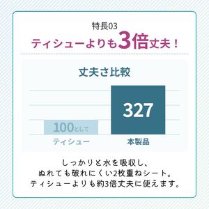 ペーパータオル スコッティ キレイの仕上げ 40箱 ペーパータオル