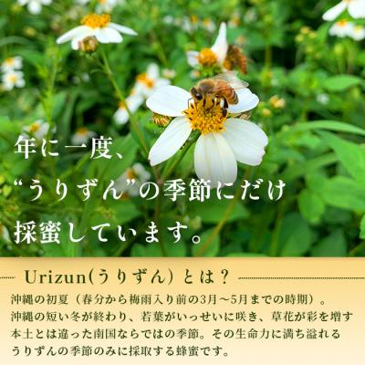 ふるさと納税 石垣市 石垣島百花　はちみつ　〜Urizun〜　130g×2瓶 |  | 02